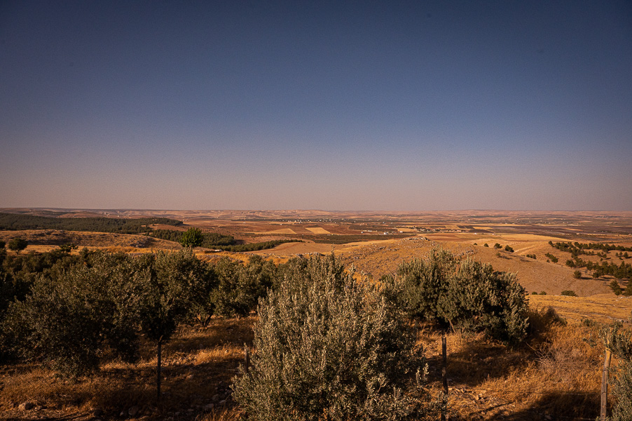 17/52 Göbekli Tepe – wir reisen 10’000 Jahre zurück und erfahren, dass hier die Menschheitsgeschichte neu geschrieben wurde – Reisebild 4