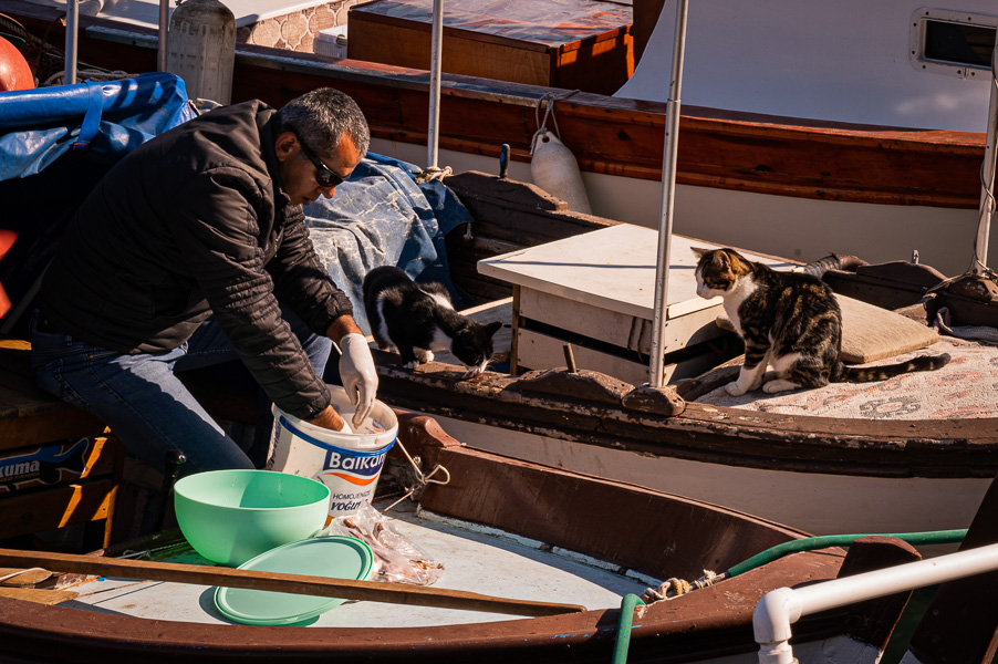 19/59 Foça – und weshalb hier alle die Fahnen hissen – Reisebild 3