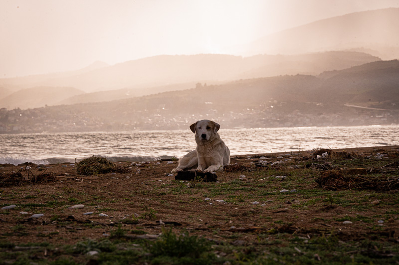 95. Etappe Kalgoria – Velika Beach – Reisebild 7