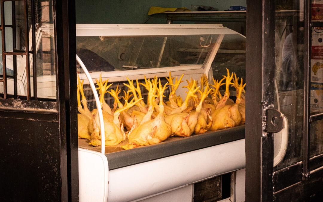 11/29 Die Region um Kutaissi – wunderschöne Klöster, eine verkommene Bergbaustadt, Okatse-Canyon und der ehemals mondäne Kurort Tskaltubo